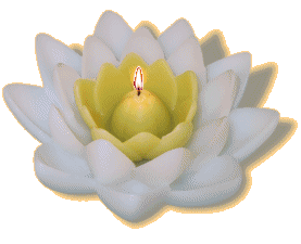 gif : zen (lotus bougie)